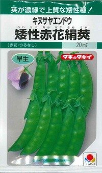 送料無料　[えんどう]　キヌサヤエンドウ　矮性赤花絹莢　18ml　GF