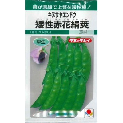 画像1: 送料無料　[えんどう]　キヌサヤエンドウ　矮性赤花絹莢　18ml　GF