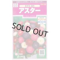 送料無料　花の種　アスター　あずみ混合　約143粒　(株)サカタのタネ　実咲350（026083）