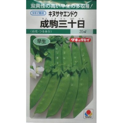 画像1: 送料無料　[えんどう]　成駒三十日　18ml　(およそ60粒)　タキイ種苗(株)　GF