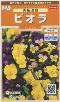 送料無料　花の種　ビオラ　美色混合　約58粒　(株)サカタのタネ　実咲200（026347）