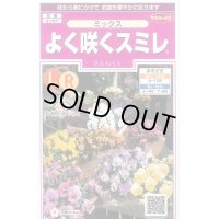 送料無料　花の種　よく咲くスミレ　ミックス　40粒　(株)サカタのタネ　実咲350（026134）