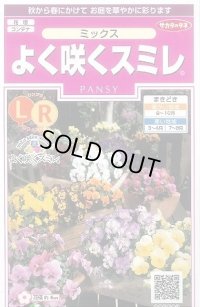 送料無料　花の種　よく咲くスミレ　ミックス　40粒　(株)サカタのタネ　実咲350（026134）