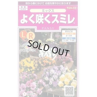 画像1: 送料無料　花の種　よく咲くスミレ　ミックス　40粒　(株)サカタのタネ　実咲350（026134）