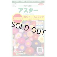 送料無料　花の種　アスター　松本混合　ボリュームパック　約558粒　(株)サカタのタネ　実咲500（026378）