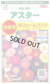 送料無料　花の種　アスター　松本混合　ボリュームパック　約558粒　(株)サカタのタネ　実咲500（026378）