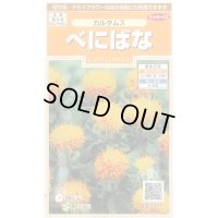 送料無料　花の種　べにばな　カルタムス　約22粒　（株）サカタのタネ　実咲200（026354）