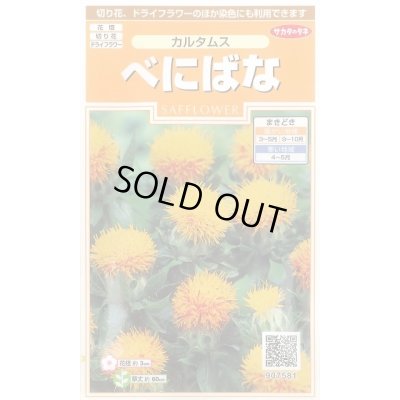 画像1: 送料無料　花の種　べにばな　カルタムス　約22粒　（株）サカタのタネ　実咲200（026354）