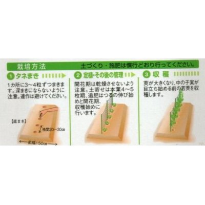 画像2: 送料無料　[えんどう]　成駒三十日　18ml　(およそ60粒)　タキイ種苗(株)　GF