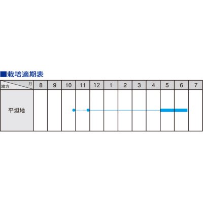 画像3: 送料無料　[えんどう]　ツタンカーメンのエンドウ豆　8ml　大和農園