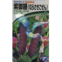 送料無料　[えんどう]　紫御膳　10ml　(株)タカヤマシード