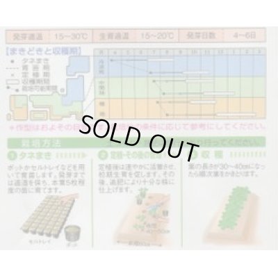 画像2: 送料無料　[葉物]　ケール　青汁用ケール　5ml　タキイ種苗　GF