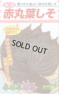 送料無料　[葉物]　赤しそ　赤丸葉しそ　5ml　松永種苗(株)