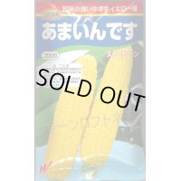 送料無料　[とうもろこし]　あまいんです　200粒　渡辺農事(株)