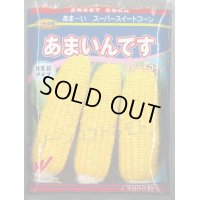 [とうもろこし]　あまいんです　2000粒　渡辺農事(株)