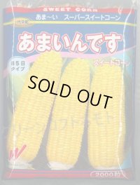 [とうもろこし]　あまいんです　2000粒　渡辺農事(株)