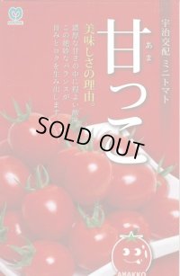 送料無料　[トマト/ミニトマト]　甘っこ　★500粒　宇治交配