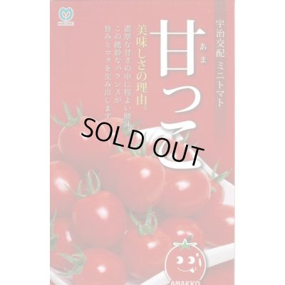 画像1: 送料無料　[トマト/ミニトマト]　甘っこ　20粒　宇治交配