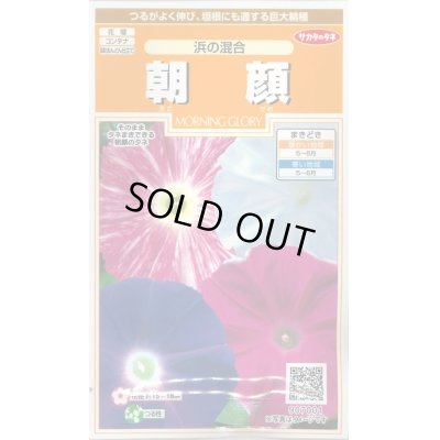 画像1: 送料無料　花の種　朝顔　浜の混合　約8粒　(株)サカタのタネ　　実咲200（026305）