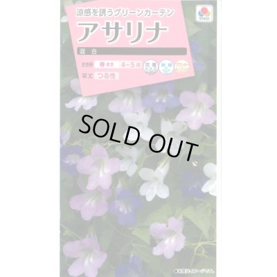 画像1: 送料無料　花の種　アサリナ　混合　小袋　タキイ種苗(株)(ＮL300)