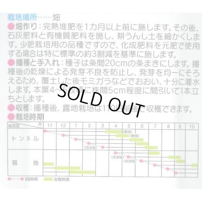 画像3: 送料無料[人参]　ベーターリッチ　1万粒　Lサイズ　ペレット種子　(株)サカタのタネ