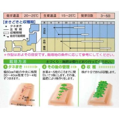 画像2: 送料無料　[葉物]　ビタミン菜　7ml　タキイ種苗(株)　MF