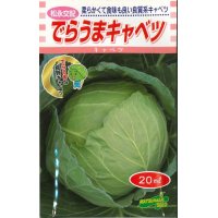 送料無料　[キャベツ]　でらうま　20ml　松永種苗(株)