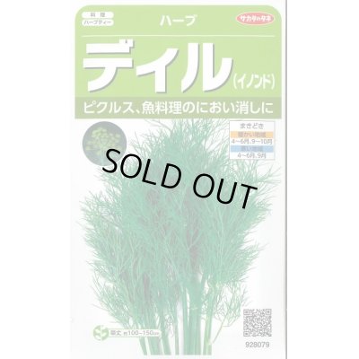 画像1: 送料無料　[ハーブの種]　ディル(イノンド)約700粒　(株)サカタのタネ　実咲（003186）