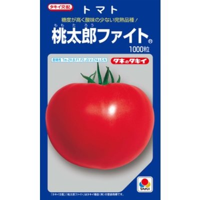 画像1: 送料無料　[トマト/桃太郎系]　桃太郎ファイト　1000粒　貴種(コートしてません)　タキイ種苗(株)