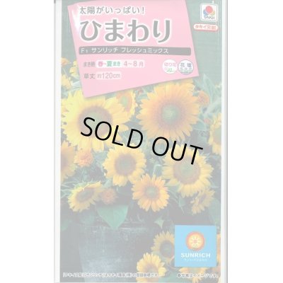 画像1: 送料無料　花の種　ひまわり　サンリッチフレッシュミックス　小袋　タキイ種苗(株)