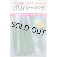 送料無料　[オクラ]　ガリバー　6.4ml　カネコ交配