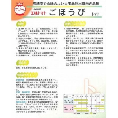 画像3: 送料無料　[トマト]　ごほうび　1000粒　(株)サカタのタネ