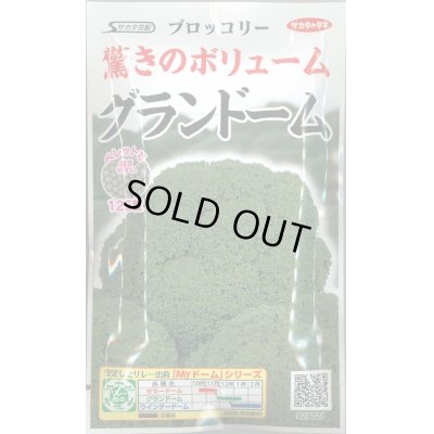 画像1: 送料無料　[ブロッコリー]　グランドーム　ぺレット種子　125粒　(株)サカタのタネ   実咲550