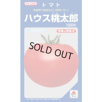 画像1: 送料無料　[トマト/桃太郎系]　ハウス桃太郎　1000粒　貴種(コートしてません)　タキイ種苗(株)