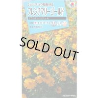 送料無料　花の種　フレンチマリーゴールド　グランドコントロール　小袋　タキイ種苗(株)　(NL150)