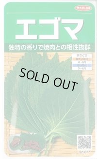 送料無料　[葉物]　エゴマ　約800粒　(株)サカタのタネ　実咲250（002973）