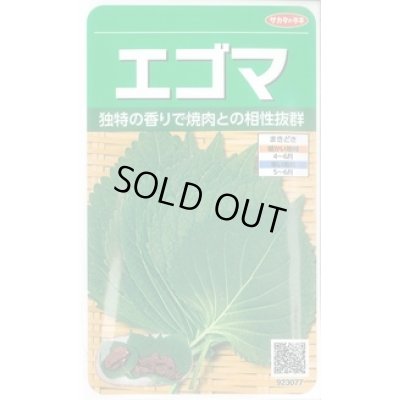 画像1: 送料無料　[葉物]　エゴマ　約800粒　(株)サカタのタネ　実咲250（002973）