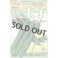 送料無料　[キュウリ]　枝成り王子　400粒　埼玉原種育成会