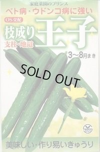 送料無料　[キュウリ]　枝成り王子　400粒　埼玉原種育成会