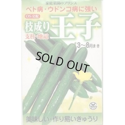 画像1: 送料無料　[キュウリ]　枝成り王子　400粒　埼玉原種育成会