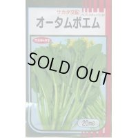 送料無料　[葉物]　オータムポエム　20ml　（株）サカタのタネ