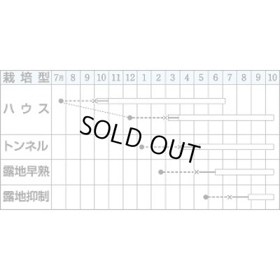 画像2: 送料無料　[なす]　筑陽　1000粒　タキイ種苗(株)