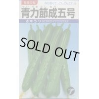 送料無料　[キュウリ]　青力節成五号　20ml(株)タカヤマシード