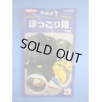 送料無料　[かぼちゃ]　ほっこり姫　100粒　タキイ種苗(株)