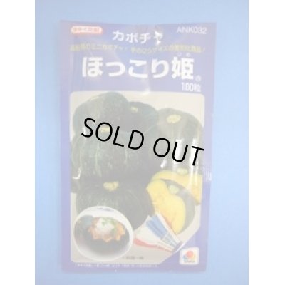 画像1: 送料無料　[かぼちゃ]　ほっこり姫　100粒　タキイ種苗(株)