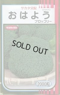 送料無料　[ブロッコリー]　おはよう　2000粒　(株)サカタのタネ