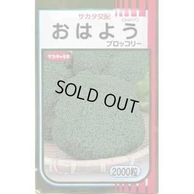 画像1: 送料無料　[ブロッコリー]　おはよう　2000粒　(株)サカタのタネ