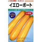 送料無料　[ズッキーニ]　イエローボート　10粒　カネコ交配