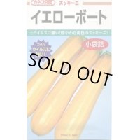 送料無料　[ズッキーニ]　イエローボート　10粒　カネコ交配