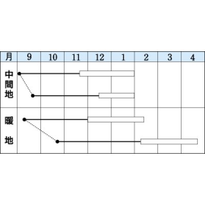 画像2: 送料無料　[葉物]　冬華　5ml　タキイ種苗(株)　GF